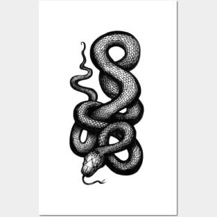 Snake Posters and Art